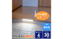 LED多目的灯&nbsp;明暗人感30cm&nbsp;昼光色ALT-3030PIR(D)