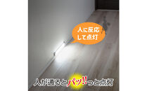 LED多目的灯&nbsp;明暗人感30cm&nbsp;昼光色ALT-3030PIR(D)