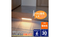 LED多目的灯&nbsp;明暗人感30cm&nbsp;電球色ALT-3030PIR(L)