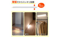 LED多目的灯&nbsp;明暗人感30cm&nbsp;電球色ALT-3030PIR(L)