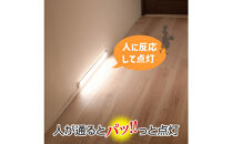 LED多目的灯&nbsp;明暗人感60cm&nbsp;電球色ALT-3060PIR(L)