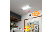 LED多目的灯&nbsp;リモコン30cm&nbsp;昼光色ALT-3030RE(D)