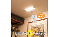 LED多目的灯&nbsp;リモコン30cm&nbsp;電球色ALT-3030RE(L)