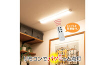 LED多目的灯&nbsp;リモコン60cm&nbsp;電球色ALT-3060RE(L)