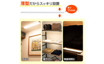 LED多目的灯&nbsp;リモコン60cm&nbsp;電球色ALT-3060RE(L)