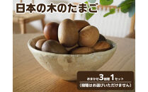 日本の木のたまご&nbsp;おまかせ3樹種1セット【UMEBACHI&nbsp;FURNITURE】