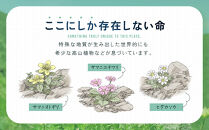 【返礼品なし】アポイ岳ファンクラブ自然保全活動応援　4,000円