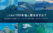 【返礼品なし】アポイ岳ファンクラブ自然保全活動応援　300,000円