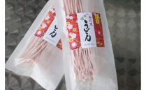 【こだわりの十郎梅使用！】香り豊かな梅うどん&nbsp;(4袋入り）
