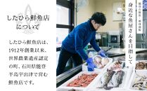 【復興支援】能登の鮮魚を捌いてお届け！旬の刺身盛り合わせセット（2人前）