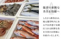 【復興支援】能登の鮮魚を捌いてお届け！旬の刺身盛り合わせセット（3人前）