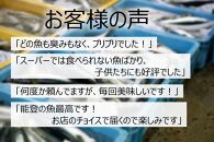 【復興支援】能登の鮮魚を捌いてお届け！旬の刺身盛り合わせセット（3人前）