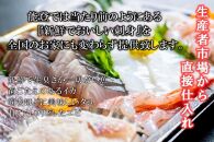 【復興支援】能登の鮮魚を捌いてお届け！旬の刺身盛り合わせセット（3人前）