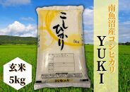 【令和8年産&nbsp;新米予約】南魚沼産コシヒカリ「YUKI」玄米5kg&nbsp;新潟県の特A地区南魚沼市の美味しいお米【銘柄米&nbsp;ブランド米&nbsp;玄米&nbsp;こしひかり&nbsp;コシヒカリ&nbsp;魚沼産&nbsp;新潟米&nbsp;産地直送&nbsp;お米&nbsp;米】【2026年10月上旬より1ヶ月以内に順次発送予定】