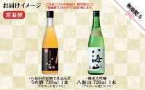無地熨斗&nbsp;純米大吟醸&nbsp;八海山&nbsp;日本酒&nbsp;八海山の原酒で仕込んだうめ酒&nbsp;&nbsp;720ml&nbsp;飲み比べ&nbsp;セット&nbsp;四合瓶&nbsp;酒&nbsp;お酒&nbsp;梅酒&nbsp;梅&nbsp;うめ&nbsp;ウメ&nbsp;晩酌&nbsp;贈り物&nbsp;贈答&nbsp;プレゼント&nbsp;ギフト&nbsp;新潟県&nbsp;南魚沼市