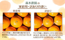 ［定期便］森本農園の手選別&nbsp;かんきつ定期便&nbsp;家庭用&nbsp;約1.5kg&nbsp;サイズ混合&nbsp;和歌山県産&nbsp;［北海道・沖縄・離島配送不可］［2027年1月～2027年5月まで全5回お届け］&nbsp;［RN172］