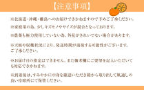 ［定期便］森本農園の手選別&nbsp;柑橘定期便&nbsp;家庭用&nbsp;約10kg&nbsp;サイズ混合&nbsp;和歌山県産&nbsp;［北海道・沖縄・離島配送不可］［2026年10月～2027年5月まで全8回お届け］&nbsp;［RN169］
