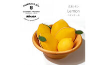 FUKUNARY&nbsp;広島LEMON&nbsp;レモン&nbsp;コインケース&nbsp;M144
