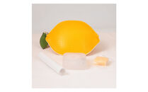 FUKUNARY&nbsp;広島LEMON&nbsp;レモン&nbsp;コインケース&nbsp;M144