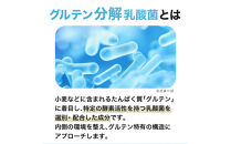 ハルクファクター&nbsp;グルテン分解乳酸菌&nbsp;GL-CUT&nbsp;120粒&nbsp;植物性カプセル&nbsp;ディグルラクト&nbsp;韓国特許成分&nbsp;ビフィズス菌&nbsp;エラグ酸&nbsp;生酵母&nbsp;カテキン&nbsp;サラシア&nbsp;国内製造&nbsp;サプリメント