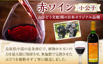 ３１０農園・日本ワイン（小公子/赤ワイン）750ml&nbsp;ワイン&nbsp;赤ワイン&nbsp;2025年&nbsp;酒&nbsp;お酒&nbsp;国産&nbsp;ぶどう&nbsp;ブドウ&nbsp;葡萄&nbsp;鳥取県&nbsp;北栄町&nbsp;おすすめ&nbsp;人気