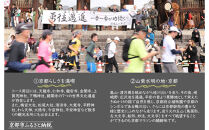【京都マラソン2027】出走権1名様分+アーバンホテル京都四条プレミアム1泊2日1名様宿泊券＜スタート会場までのハイヤー送迎付き＞|&nbsp;チケット&nbsp;人気&nbsp;おすすめ&nbsp;[&nbsp;マラソン&nbsp;出走権&nbsp;有償&nbsp;1名&nbsp;宿泊&nbsp;2月&nbsp;イベント&nbsp;人気&nbsp;おすすめ&nbsp;限定&nbsp;ギフト&nbsp;宿泊&nbsp;旅行&nbsp;観光&nbsp;ふるさと納税&nbsp;]