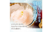 白えび刺身&nbsp;100g&nbsp;&nbsp;1パック