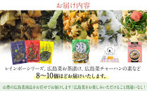 【山豊】届いてからのお楽しみ！　広島菜詰め合わせセット（8~10個）