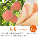 ［全3回&nbsp;定期便］紀州和歌山産旬のフルーツセット（セミノール・スイカ・桃）［UT151］