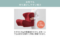 Style&nbsp;Dr.CHAIR【ブラウン】
