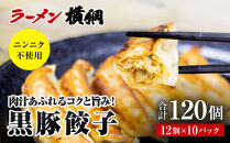 【ラーメン横綱】ニンニク不使用!&nbsp;黒豚餃子&nbsp;10パック120個&nbsp;京都&nbsp;&nbsp;有名店&nbsp;餃子&nbsp;大人気セット［&nbsp;肉汁あふれるコクと旨み&nbsp;小分け&nbsp;黒豚&nbsp;冷凍食品&nbsp;大容量&nbsp;おいしい&nbsp;簡単&nbsp;便利&nbsp;おすすめ&nbsp;中華&nbsp;中華料理&nbsp;お取り寄せ&nbsp;通販&nbsp;送料無料&nbsp;］