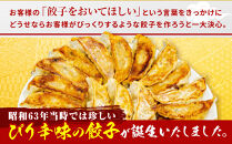 【ラーメン横綱】ニンニク不使用!&nbsp;黒豚餃子&nbsp;10パック120個&nbsp;京都&nbsp;&nbsp;有名店&nbsp;餃子&nbsp;大人気セット［&nbsp;肉汁あふれるコクと旨み&nbsp;小分け&nbsp;黒豚&nbsp;冷凍食品&nbsp;大容量&nbsp;おいしい&nbsp;簡単&nbsp;便利&nbsp;おすすめ&nbsp;中華&nbsp;中華料理&nbsp;お取り寄せ&nbsp;通販&nbsp;送料無料&nbsp;］