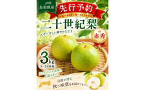 東商果樹園&nbsp;二十世紀梨(赤秀)3kg&nbsp;【鳥取県&nbsp;境港市】