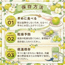 東商果樹園&nbsp;二十世紀梨(赤秀)5kg&nbsp;【鳥取県&nbsp;境港市】