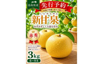 東商果樹園&nbsp;新甘泉(赤秀)3kg&nbsp;【鳥取県&nbsp;境港市】