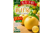 東商果樹園&nbsp;新甘泉(訳あり)3kg&nbsp;【鳥取県&nbsp;境港市】