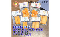 国産鮮魚100％【保存料・調味料（アミノ酸等）・リン酸塩&nbsp;不使用】揚げ蒲鉾詰合せ