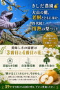 きしだ農園&nbsp;二十世紀梨&nbsp;進物5kg&nbsp;【鳥取県&nbsp;境港市】