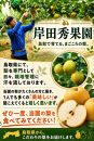 岸田秀果園&nbsp;新興梨(自家用)5kg&nbsp;【鳥取県&nbsp;境港市】