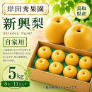 岸田秀果園&nbsp;新興梨(自家用)5kg&nbsp;【鳥取県&nbsp;境港市】