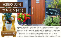 フラワースタンド(S)カラー：メイプルステンシル：猫