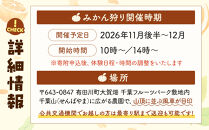 【2026年分先行受付】有田みかん狩り&nbsp;収穫体験&nbsp;1グループ（最大6名まで）有田みかん&nbsp;30kg&nbsp;付き&nbsp;和歌山&nbsp;千葉山（せんばやま）フルーツパーク内
