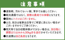 【2026年分先行受付】有田みかん狩り&nbsp;収穫体験&nbsp;1グループ（最大6名まで）有田みかん&nbsp;30kg&nbsp;付き&nbsp;和歌山&nbsp;千葉山（せんばやま）フルーツパーク内