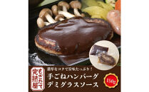 &nbsp;完熟屋ハンバーグ&nbsp;４種のソースセット（150g×4）