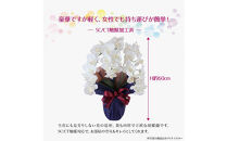 枯れないアーティフィシャルフラワー&nbsp;胡蝶蘭&nbsp;3本立ち&nbsp;ホワイトイエロー&nbsp;SC触媒加工済