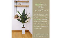 人工観葉植物&nbsp;カポック斑入り&nbsp;160cm&nbsp;樹脂鉢Lサイズ白&nbsp;SC触媒加工済
