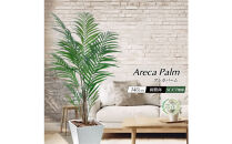 人工観葉植物&nbsp;アレカパーム140cm&nbsp;樹脂鉢Mサイズ白&nbsp;SC触媒加工済