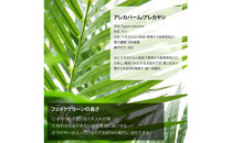 人工観葉植物&nbsp;アレカパーム175cm&nbsp;樹脂鉢Lサイズ白&nbsp;SC触媒加工済