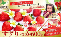 初夏を告げる！北海道　様似町産　すずりっか　600g（300g×2セット）