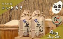 【令和8年産新米予約】「五つ星お米マイスター」の南魚沼産コシヒカリ　精米４kg（２kg×２個）【2026年10月上旬より1ヶ月以内に順次発送予定】